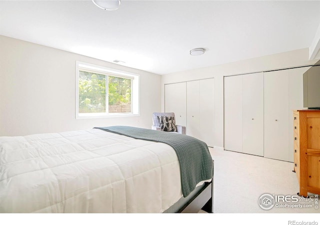 bedroom with two closets and light carpet