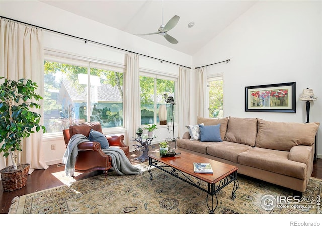 living room featuring ceiling fan, high vaulted ceiling, and dark hardwood / wood-style flooring