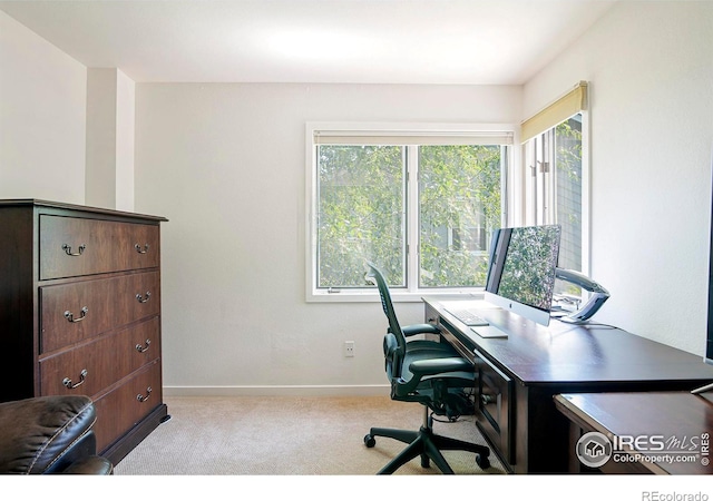 office with light colored carpet