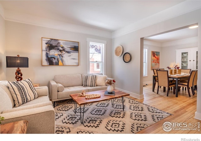 living room featuring ornamental molding and light wood-type flooring