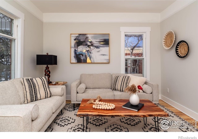 living room featuring ornamental molding and wood-type flooring