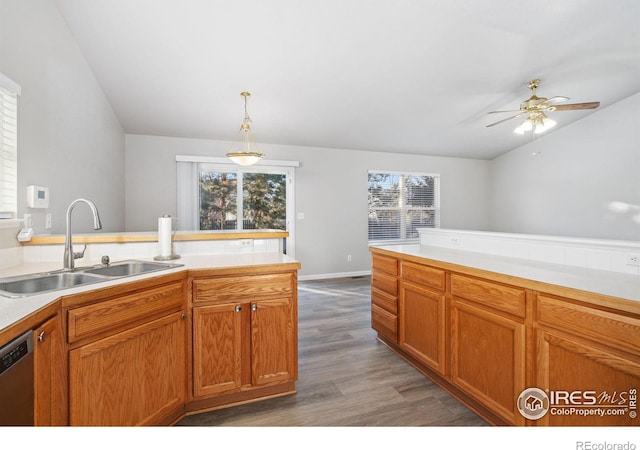 kitchen with pendant lighting, sink, ceiling fan, dark hardwood / wood-style flooring, and stainless steel dishwasher