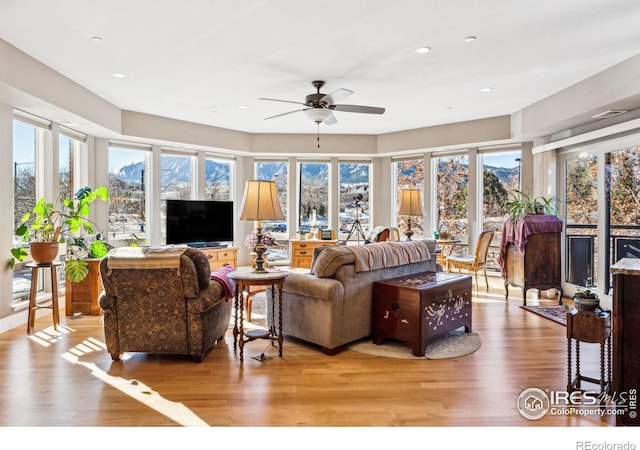 living room featuring ceiling fan and light wood-type flooring