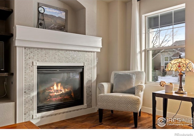 living area with wood finished floors, baseboards, and a premium fireplace