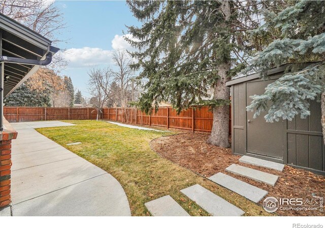 view of yard with a patio and a shed