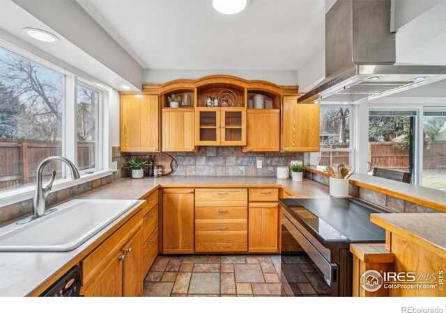 kitchen with sink, backsplash, ventilation hood, and electric range oven