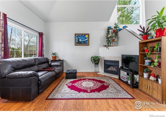 living room featuring lofted ceiling, a fireplace, and wood-type flooring