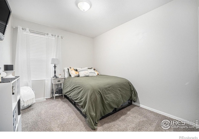 bedroom featuring carpet floors