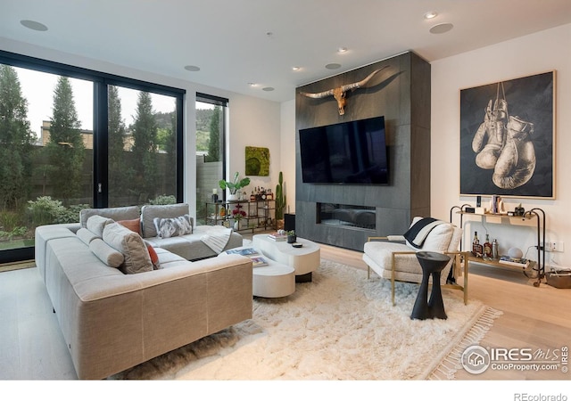 living room featuring a large fireplace and light wood-type flooring