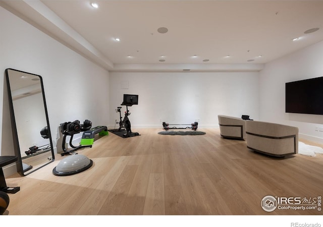 exercise room featuring light hardwood / wood-style flooring