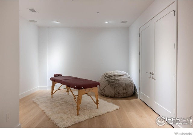 sitting room featuring light wood-type flooring