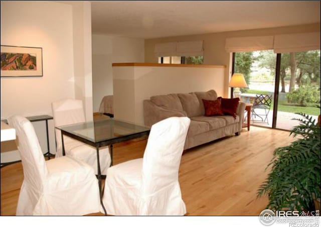 dining area with wood-type flooring and radiator heating unit