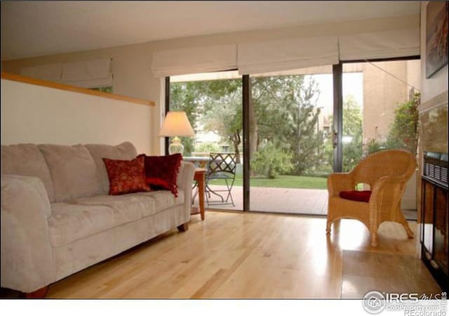 living room with hardwood / wood-style flooring