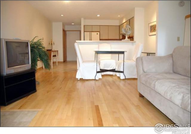 living room with light hardwood / wood-style floors