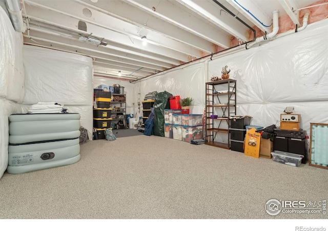 basement featuring carpet