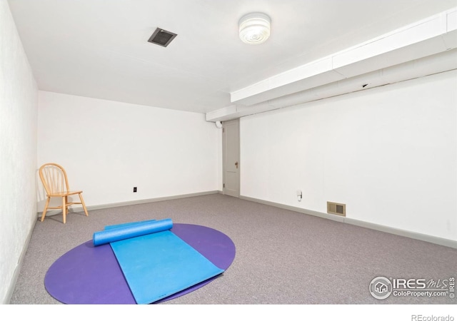 exercise area featuring carpet floors