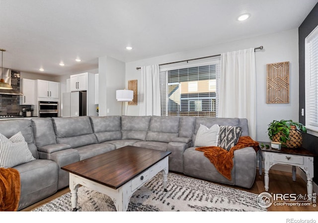 living room featuring light hardwood / wood-style flooring