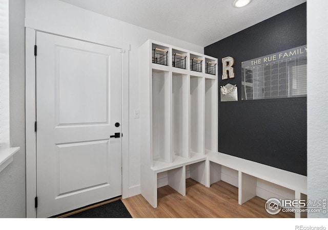 mudroom featuring hardwood / wood-style flooring