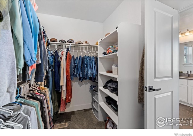 walk in closet featuring sink