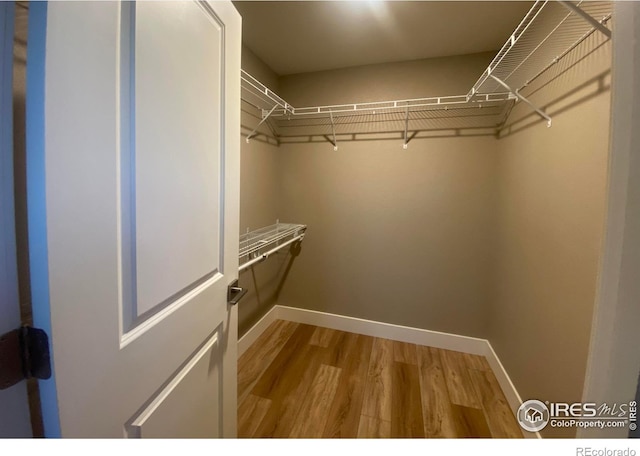 spacious closet featuring hardwood / wood-style floors