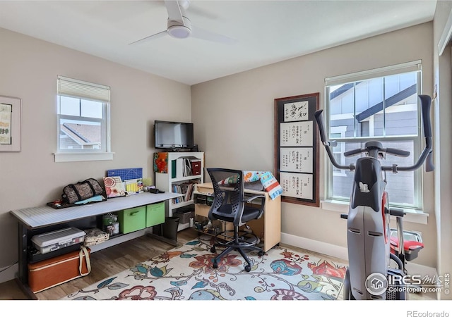 office with ceiling fan and light hardwood / wood-style flooring