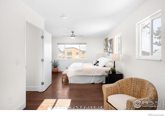 bedroom featuring multiple windows and dark hardwood / wood-style floors