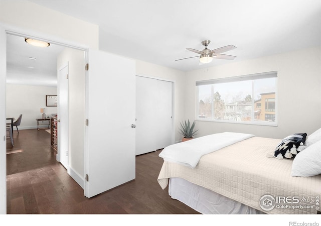 bedroom with dark hardwood / wood-style floors, ceiling fan, and a closet