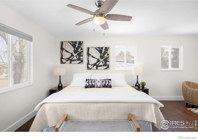 bedroom featuring multiple windows, dark hardwood / wood-style floors, and ceiling fan