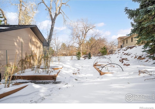 view of yard covered in snow