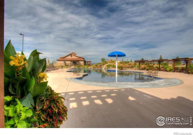 view of swimming pool with a pergola and a patio area