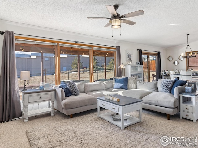 living room featuring ceiling fan with notable chandelier, ornamental molding, a textured ceiling, and carpet flooring