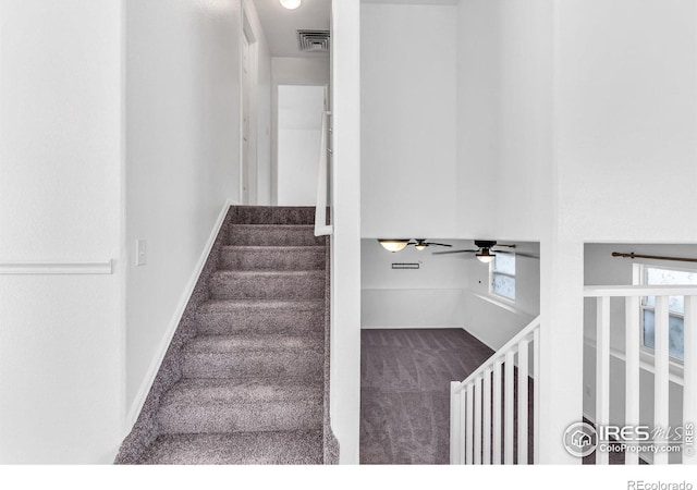 stairs with ceiling fan and carpet flooring