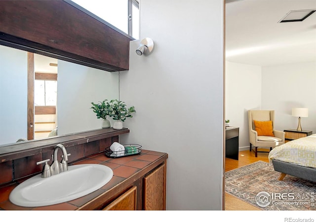 bathroom featuring vanity and a wealth of natural light