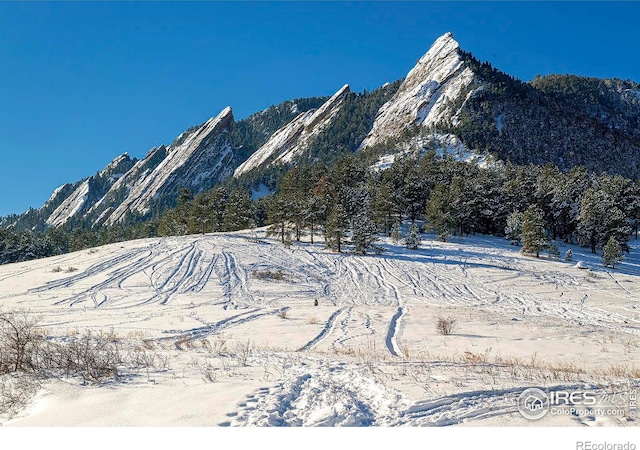 view of mountain feature