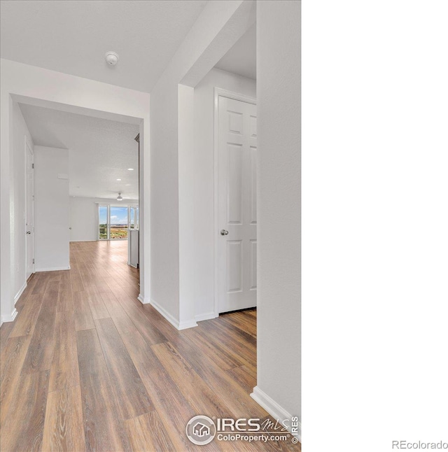 6508 Copper Dr, Frederick, CO 80516 - hall with wood finished floors and baseboards