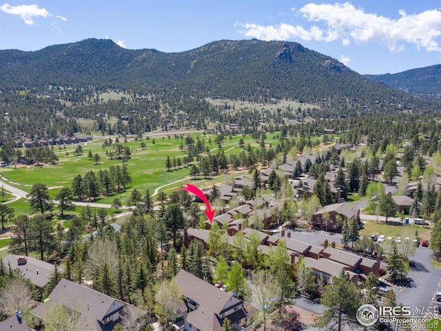 birds eye view of property with a mountain view