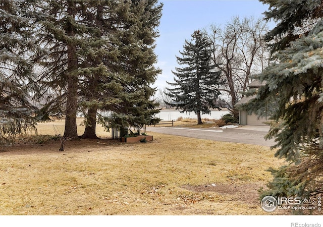 view of yard with a garage