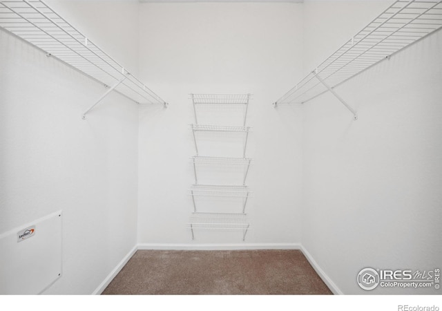 spacious closet with carpet floors