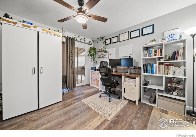 home office with hardwood / wood-style floors and ceiling fan