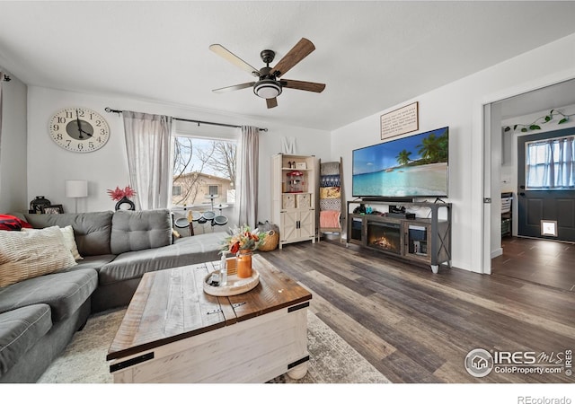 living room with ceiling fan and hardwood / wood-style floors