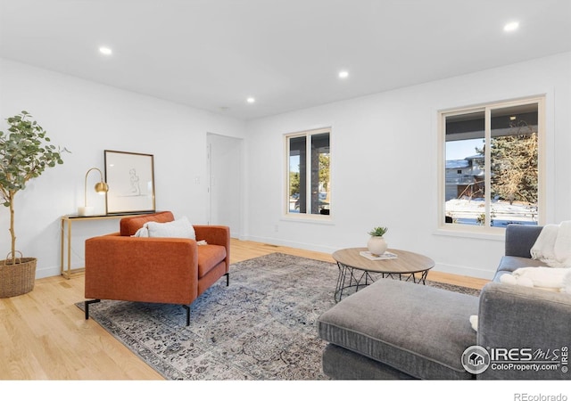 living room with light hardwood / wood-style floors