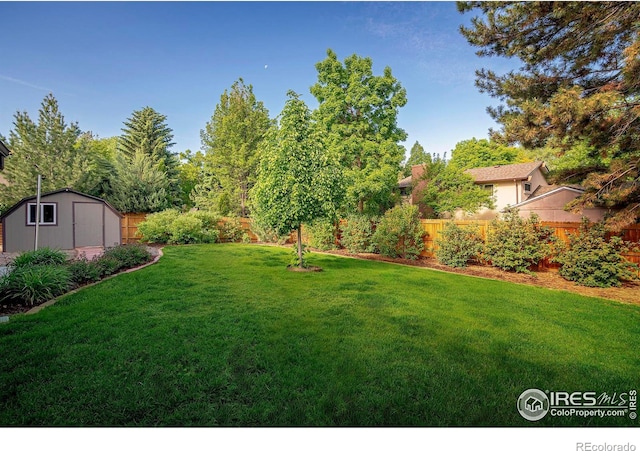 view of yard featuring a shed