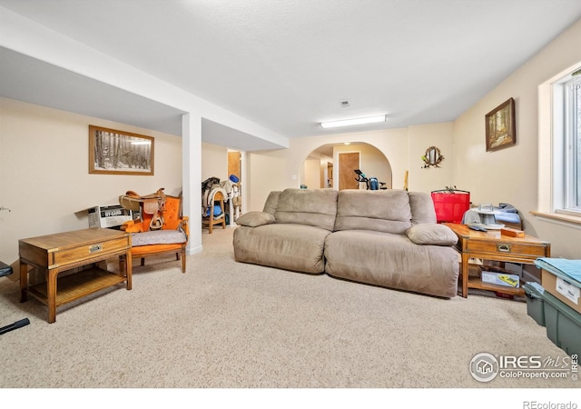 view of carpeted living room