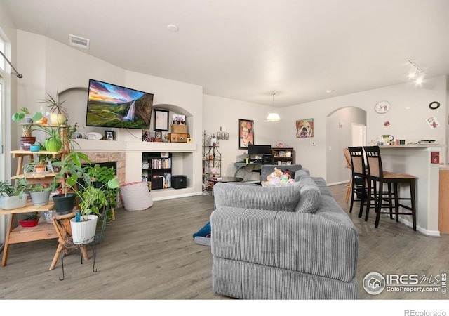 living room featuring wood-type flooring