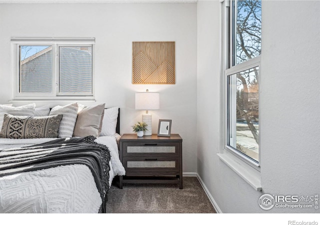 bedroom with carpet floors and multiple windows