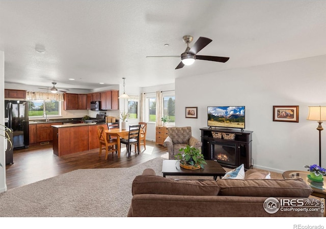 living room with ceiling fan, sink, and dark hardwood / wood-style flooring