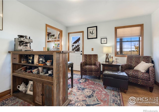 sitting room featuring hardwood / wood-style flooring