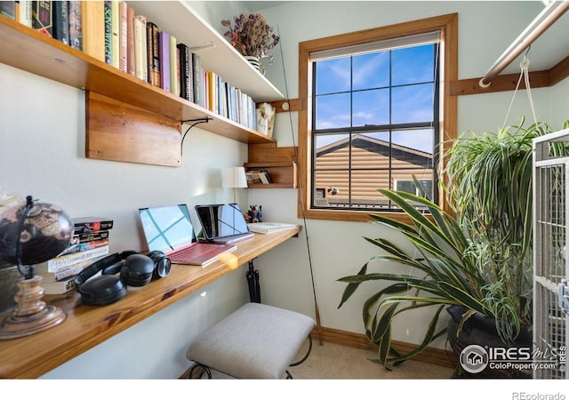 home office featuring carpet floors