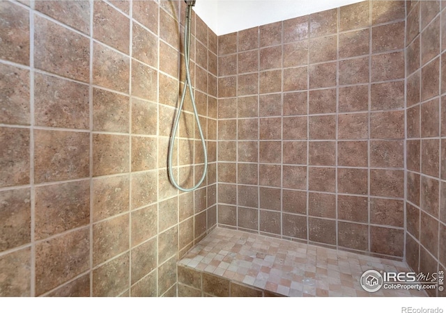 bathroom with a tile shower