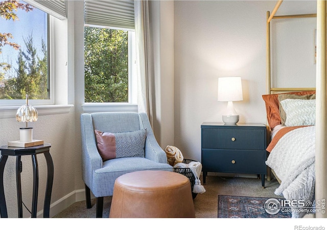 bedroom with carpet floors